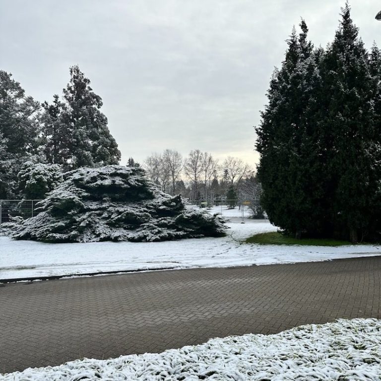 Sauberer Gehweg, befreit von Schnee und Eis