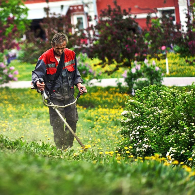 Rundum Gartenservice für den Landkreis Lörrach und Freiburg